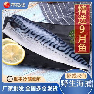 ������Ų����Ʒ�M�����~240g�໨�~���l�r�����r������r���l