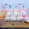 Heart-shaped Rabbit (single price}