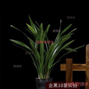 �m�����m��ֱ�l���m���L���ļ��m��������������҃ȾGֲ���԰l