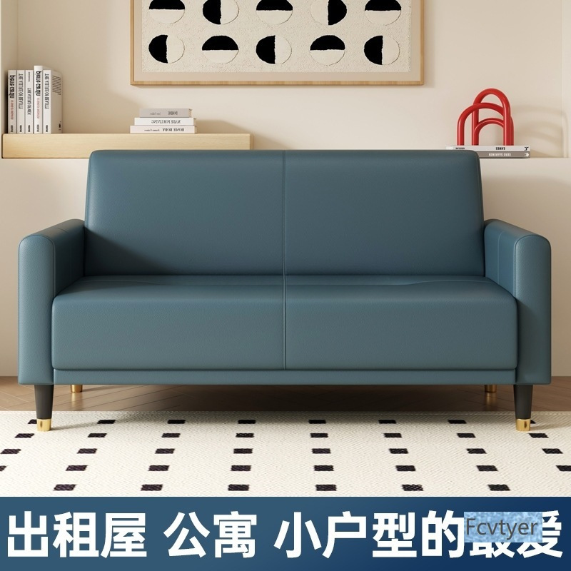 Miola Apartment Cat Scratch Rental Room Simple Clothing Store Living Room Nordic Small Double Simple Leather Sofa Small Household