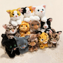 �羳ſ��؈����ż����؈ë�q�������؈���ṫ�б�؈��ͯ�������