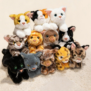 �羳ſ��؈����ż����؈ë�q�������؈���ṫ�б�؈��ͯ�������