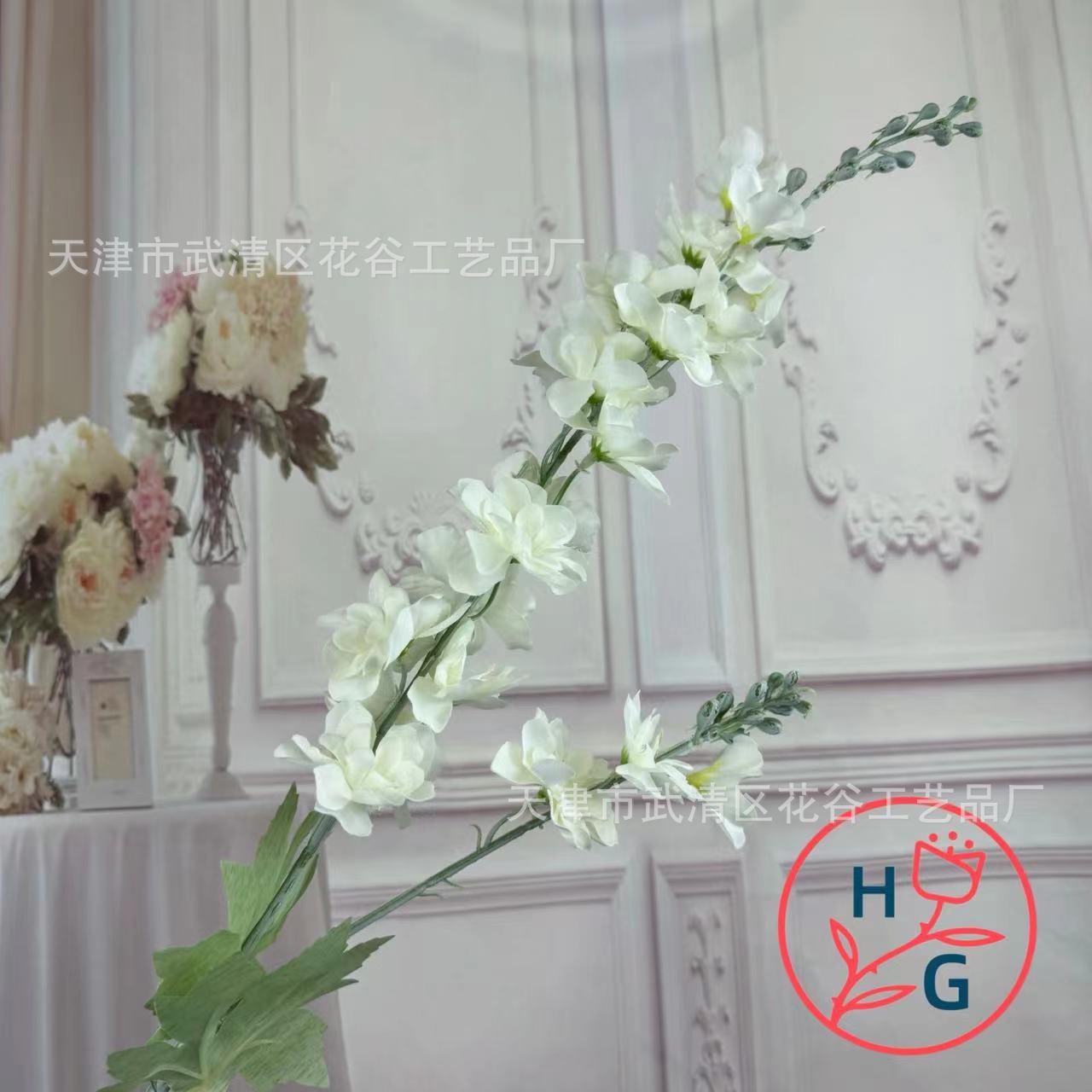 HG-1