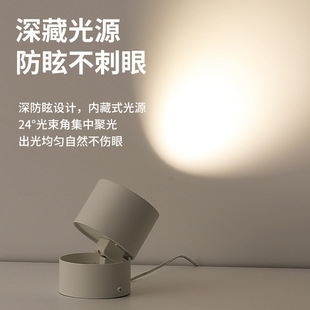Surface-Mounted Spotlights, Foldableable, Adjustable External Spotlights, Hole-Free Spotlights, Living Room Background Wall Downlights, Entrance Ceiling Lights