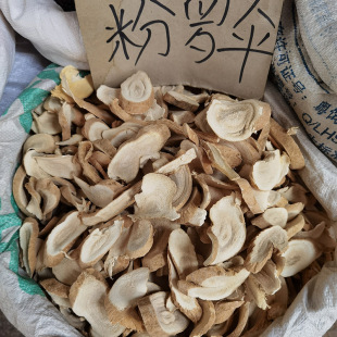 ��ș�Ĵ��_�� ��ș�� ���_�� ľ�Ƕ� ɽ��� ������ ɽ�� ���_