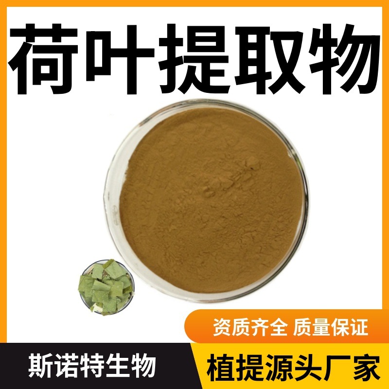 荷叶提取物10:1喷雾干燥水溶性精细粉末 源头厂家供应荷叶粉