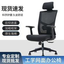 �k�����o���k����������X�D�ΆT���������������������׿�����