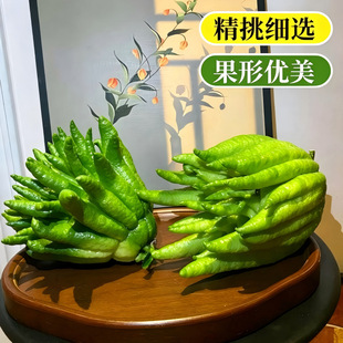 ���r�Fժ���ָ��㙴�r�����ˮ���^�p�[����֦���幩��ʳ��ˮ��
