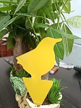 �S���p��@ˇճ�x����Ï����T�x�弈�N�Sɫ��ω�nω��С�w�xᘷ�