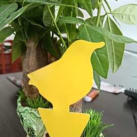 黄板双面园艺粘虫板家用强力诱虫板纸贴黄色实蝇苍蝇灭小飞虫针蜂