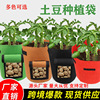 Cross border Amazon felt Planting Bag Potato plant Vegetables Botany Nursery bags Potato Planting Bag customized