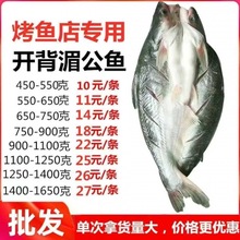 腌制巴沙魚海鱸魚清江魚商用開背湄公魚凌波魚半成品整箱成貨批
