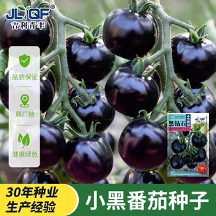 ������ʯ���ҷ��ѷN���������N�Ѵ����ļ��̨����ˮ���߲˷N��