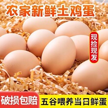 �r��ɢ�B���u�����u�����r��Ȼ���x��ι�B�I�B���ӵ����u��