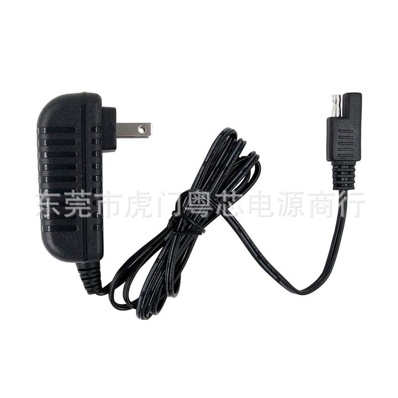 6V Charger Is Suitable for Pacific MarVel AVengers Good Dinosaur Princess Minnie Mouse Frozen Walmart