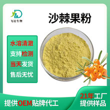 沙棘果粉散装水溶沙棘提取物多种规格沙可商检现货批发