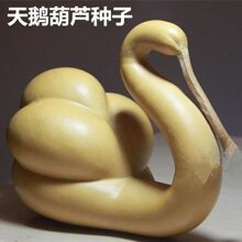天鹅葫芦种子大酒葫芦种籽观赏葫芦种子文玩摆件葫芦种子观赏葫芦