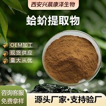 蛤蚧提取物 水溶性食品级原料棕黄色精细粉末 实力工厂