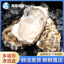 ���N�O�r�����r���r����� ���r��Ϡ��ĵϠ����ʳ�� 2kg/8-10ֻ��