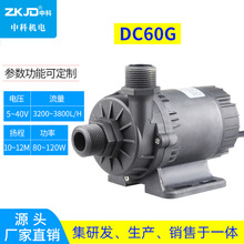 DC60G中型喷泉泵太阳能泵潜水喷泉泵循环泵调速泵缺水保护