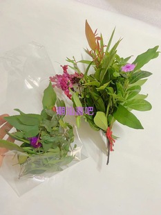 Chaoshan Twelve-Color Flower Pomegranate Flower Rub Grass Auspicious Spring Grass Happy Event Chaoshan Customs Out of the Garden Wedding Wash Flower Water