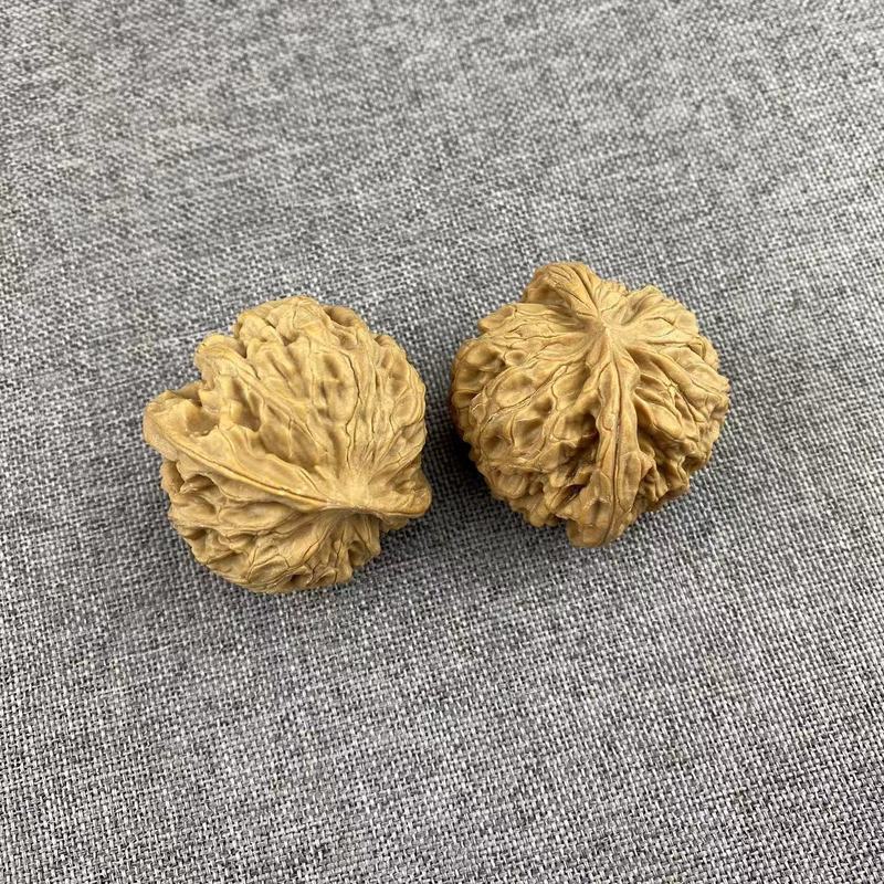 開背ヒキガエルの頭の文はクルミの低い杭を遊んで、先の古い木の延慶の金のヒキガエルの手は収集級の男女を遊んでクルミを遊びます。|undefined