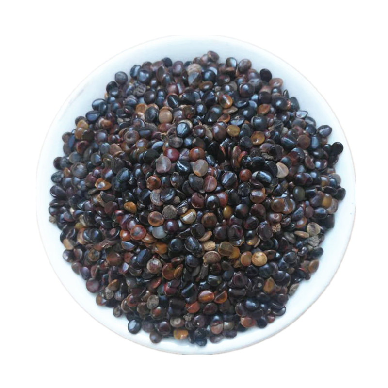 Zhi Ju Zi Dried Hovenia Dulcis Seeds 500g Traditional Chinese Herbal Ingredient for Cooking and Decoction in use