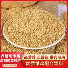 小鸡饲料批发20斤喂家养鸡鸭鹅用开口吃料40钓大鱼打窝价80斤批发