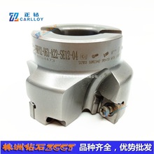 Zԭb㊵PFMP02-063-A22-SE12-04