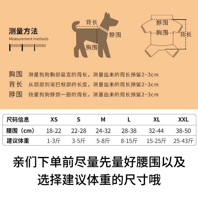 宠物狗狗生理裤泰迪姨妈巾月经期防骚扰小狗安全纸尿裤狗尿不湿母|undefined