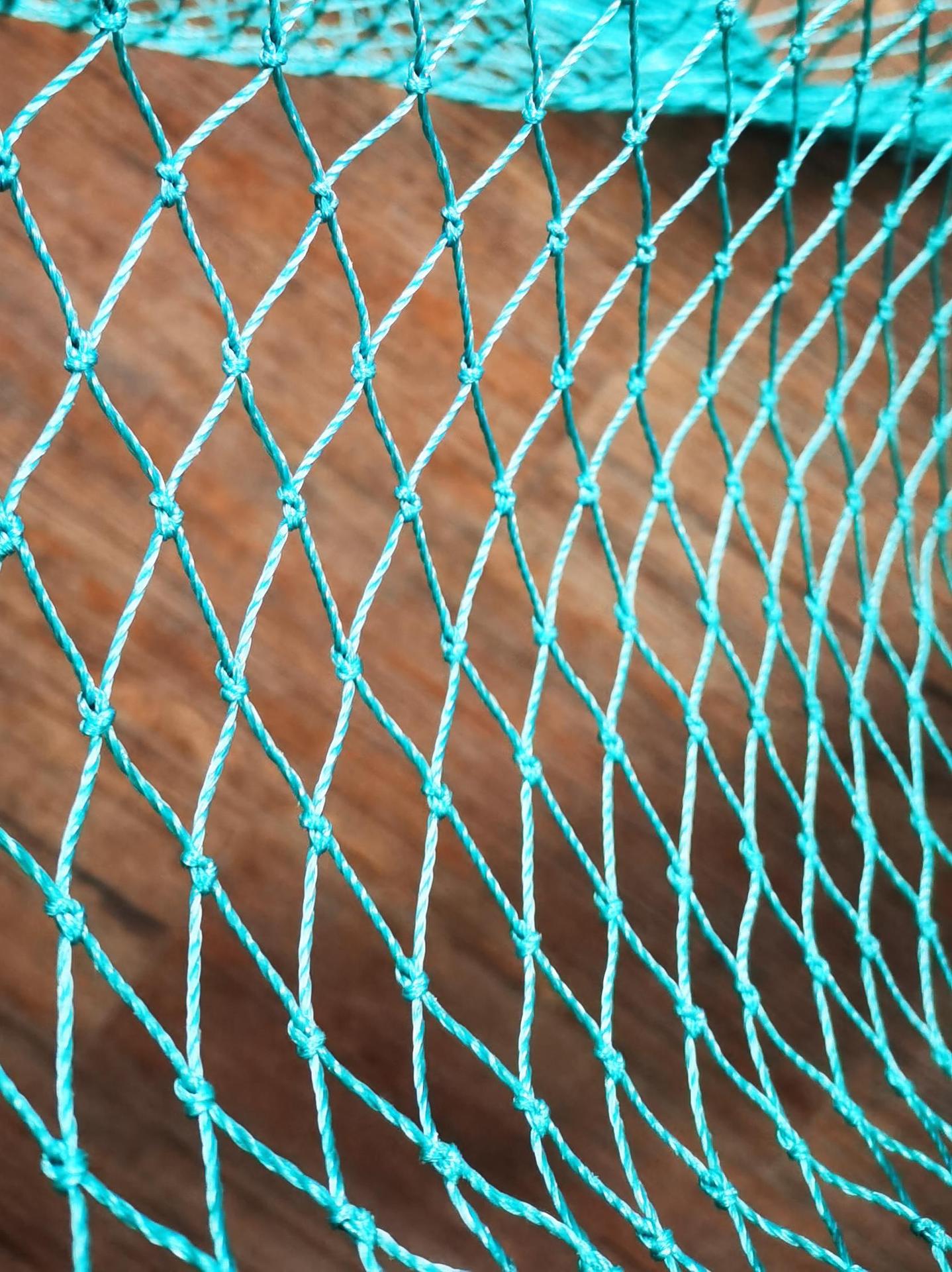 新款户外农村养鸡网养殖网菜园围网防鸡网围栏网尼龙网鱼塘天网