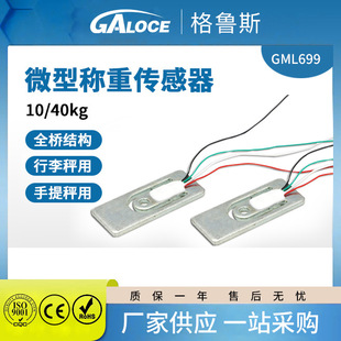 GML699 Luggage Scale Electronic Portable Scale 20kg Hook Scale Tension Weighing Sensor for Fishing Scale