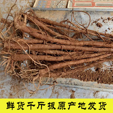 ǧ�����ș�����r�F��ԭ�a�ذl؛�ݾ�һ�l�����Rׯș���в�ș��Ȼ