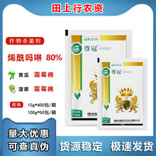 �������80%ϩ������ �����S������˪ù�������߲��rș������