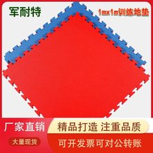 專業跆拳道地墊加厚訓練高密度舞蹈格斗街舞道館武術1米泡沫墊子
