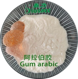 植物胶;天然胶粘剂;热熔胶