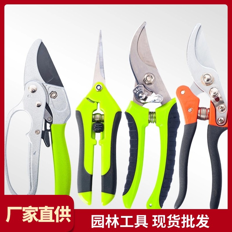 园林园艺修枝剪不锈钢多功能树枝果树园林园艺剪刀采摘果实园艺剪