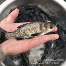 ���|������ ���^�~�� �I�~��