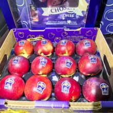 �V�ݽ������lֱ�l����S�����ް������Ҹ߶˶Y���b�����ؼ�