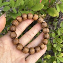 �S�����l����̴����⾫��С�׷�����Ů��̴��ľ��������ִ���Ȧ