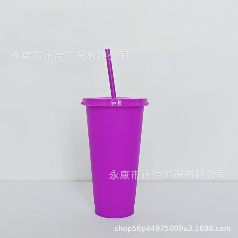 外贸新款马卡龙系列大容量710ML塑料奶茶杯PP材质磨砂手感吸管杯|undefined