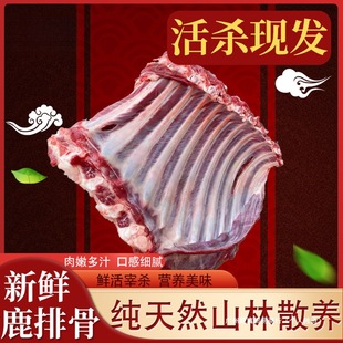 ¹�����r¹��F����ֻ÷��¹�Ź�¹�Ȏ�Ƥ�������r÷��¹�����r