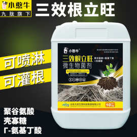 九肽生根剂强力生根液生物发酵蔬菜草莓用调土养根壮苗三效根立旺