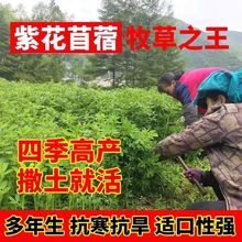 ϻޣݷNѶļݷNuZţѷNo¾Gʳ