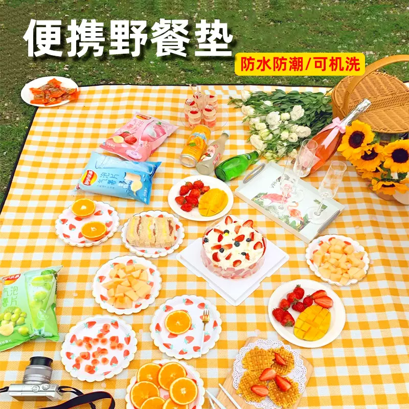 户外野餐垫防潮垫野餐地垫防水加厚牛津布PE无纺布手提包式野餐布