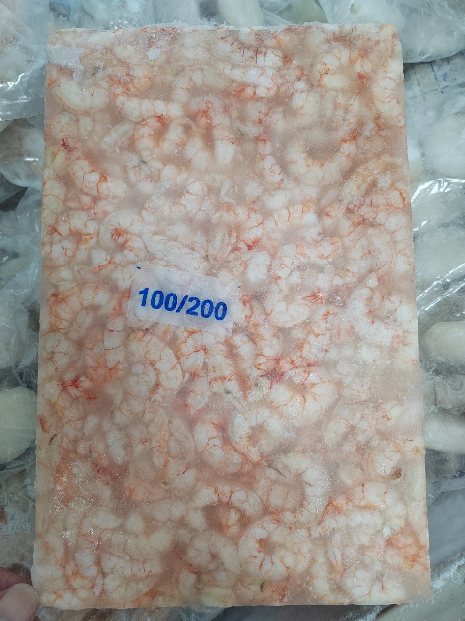 供应虾仁明虾仁红虾仁红虾仁海虾仁麻虾仁