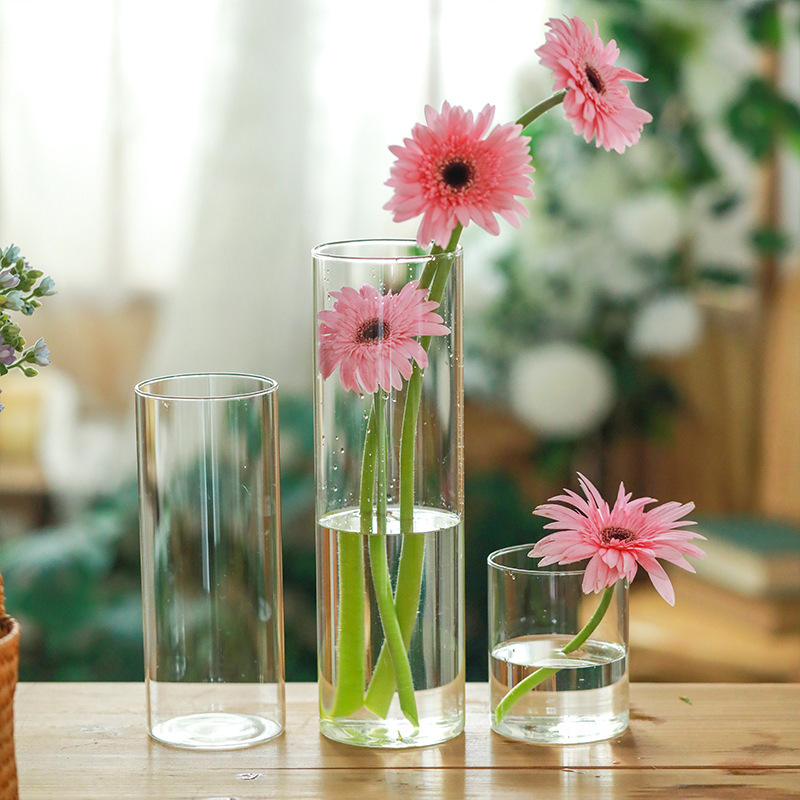 Amazon glass vase transparent straight hydroponic flowers green plants living room flower arrangement vessel decoration wholesale Amazon glass vase transparent straight hydroponic flowers green plants living room flower arrangement vessel decoration wholesale