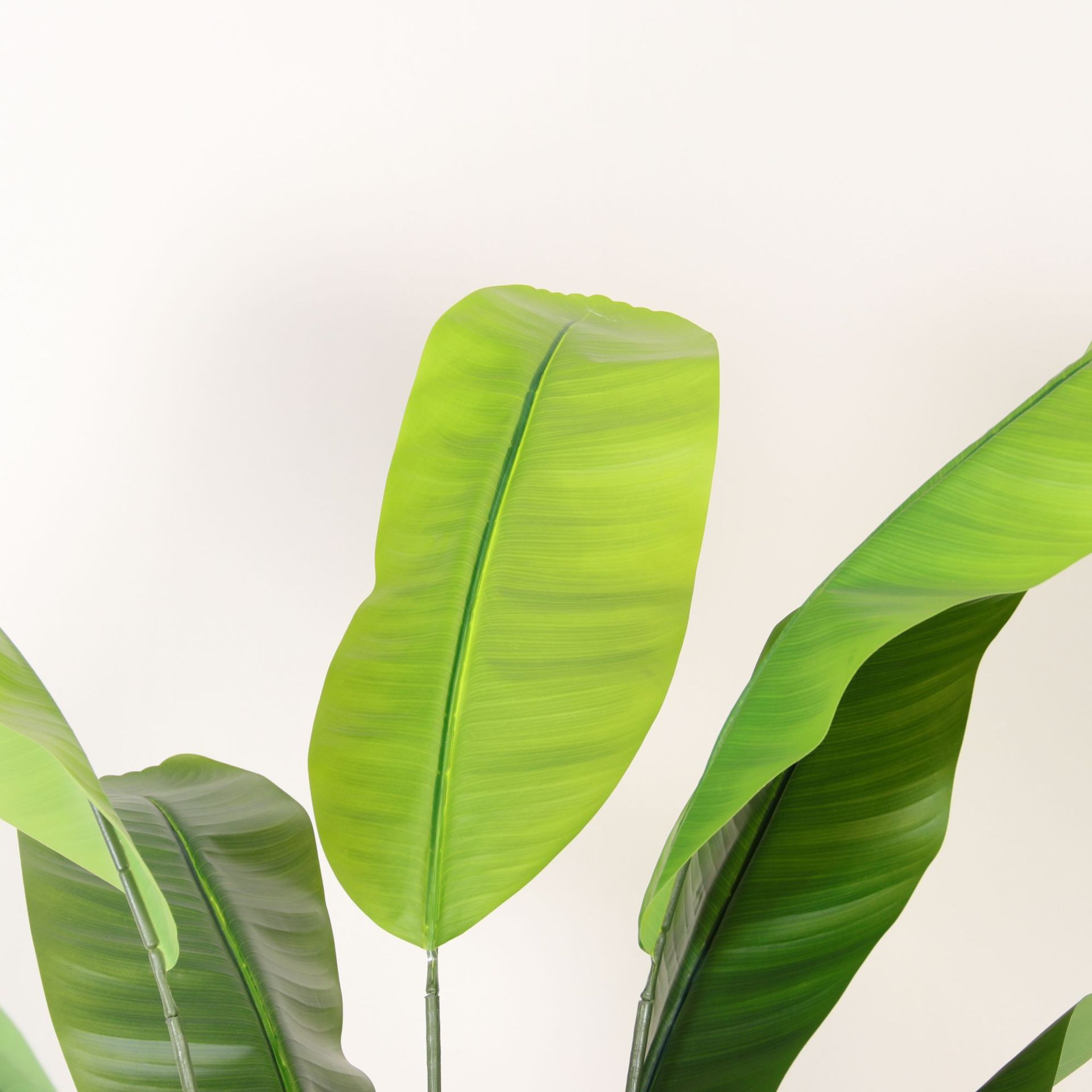 Simulación planta viajero plátano falsa planta verde en maceta hogar grande sala de estar interior decoración de piso adorno paisaje de ventana