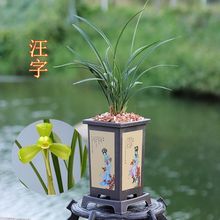 ��÷���m�����m���ϷN�m�����ϰ˷N��Ʒԭ�����A���������f��