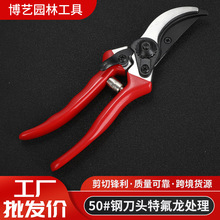 �S��ֱ�����P���֦�� �@�ֹ��߼������@������֦�� ��֦ʡ����